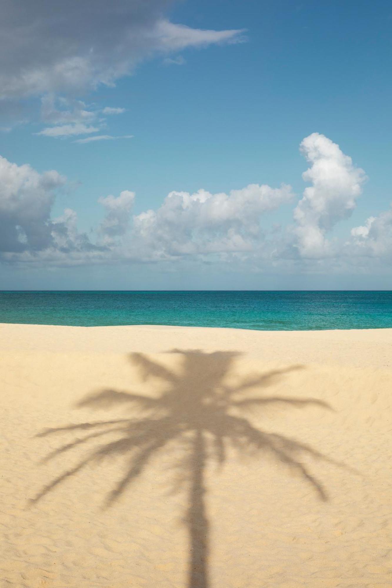 Hotel Joia Aruba By Iberostar Palm Beach Exteriér fotografie